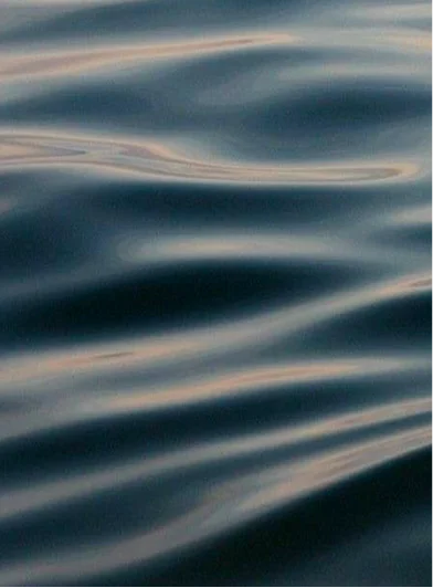 Movimiento del mar